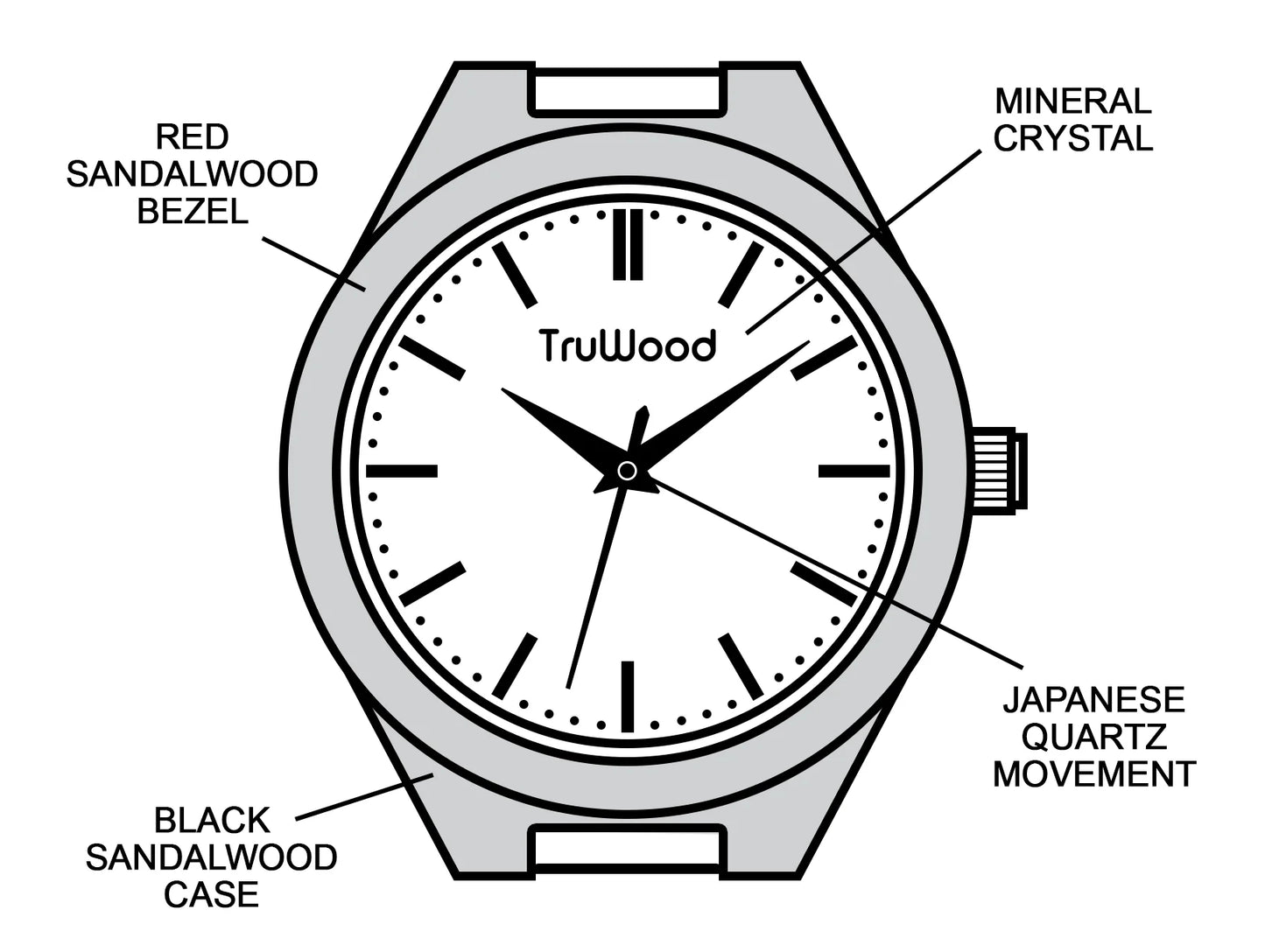 Regalos para hombres: El reloj Cardinal: la esencia de la naturaleza atemporal