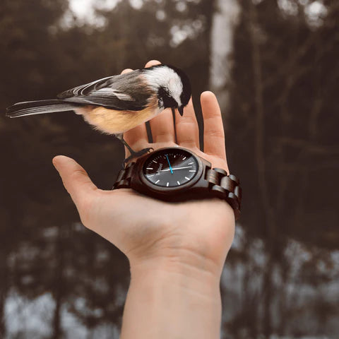 Regalos para hombres: The Hawk Watch: el epítome de la simple modernidad y la elegancia cotidiana